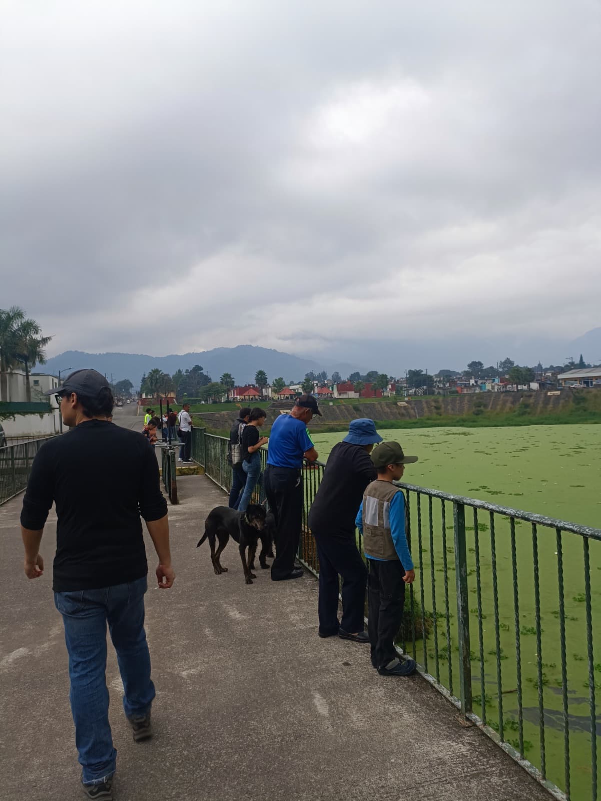 Familias y un niño asomados al barandal del malecón observando el humedal verde.